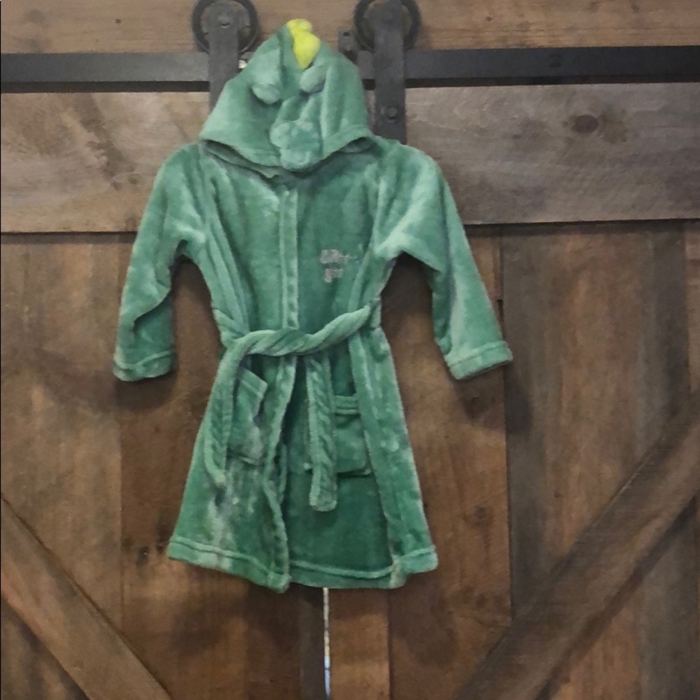 Dinosaur bathrobe.